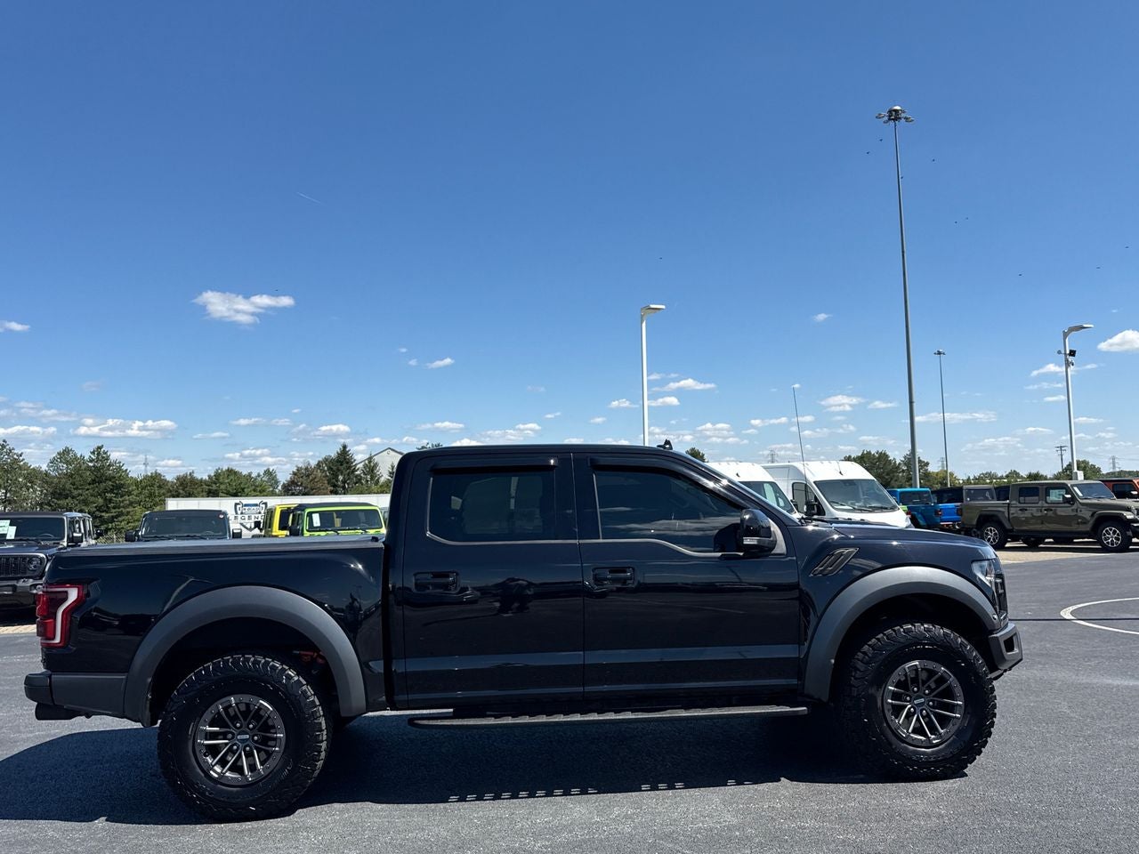 2019 Ford F-150 — side profile view