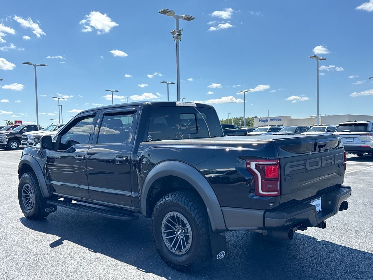 2019 Ford F-150 — detail view